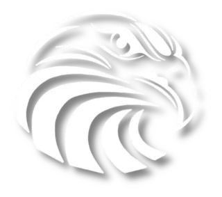 EagleEye logo